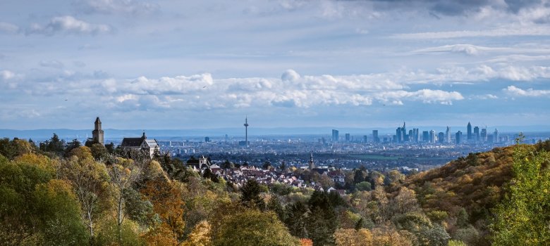 Weitwinkelaufnahme aus erhöhter Position. Im linken Vordergrund ragen der helle Palas und der Freiturm der Burg Kronberg aus dichtem grünen Wald heraus. Mittig im Bild liegt die Kronberger Altstadt mit ihren roten Ziegeldächern, eingebettet in eine grüne Hügellandschaft. Am fernen Horizont erstreckt sich die Skyline von Frankfurt am Main mit markanten Wolkenkratzern und dem Fernsehturm. Der Himmel ist hellblau mit gleichmäßig verteilten, weißen Schönwetterwolken. Im direkten Vordergrund rahmen grüne Blätter das Bild ein