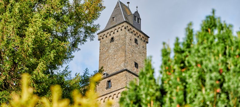 Ein hoher, quadratischer Burgturm aus Naturstein ragt hinter dichten grünen Baumkronen und hellen Büschen im Vordergrund hervor.