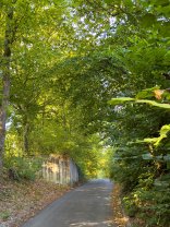 Umgestaltung Thalerfeld Anstelle des bisherigen Aufgangs wird an der Westseite des Friedhofs auf Höhe eines bereits vorhandenen Mauerwinkels ein kleinerer, deutlich günstigerer Treppenaufgang geschaffen.
