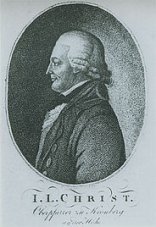 Ein historischer Kupferstich zeigt das Porträt eines Mannes im Seitenprofil mit einer gepuderten Perücke innerhalb eines ovalen Rahmens.