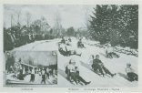 Historische Schwarz-Weiß-Postkarte der Cronenberger Rodelbahn im Taunus mit zahlreichen Schlittenfahrern auf einer schneebedeckten Bahn und einer eingeblendeten Ansicht einer Kaffeebude.