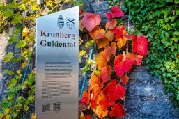 Eine Wand mit Grün, Orange Roten Blättern mit einem Schild auf dem Kronberg Guldental Drauf steht