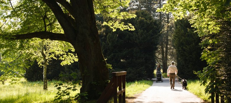 Fotografie eines sonnendurchfluteten Parks, in dem ein Mann mit einem Hund an der Leine und im Hintergrund eine Person mit Kinderwagen auf einem asphaltierten Weg spazieren gehen.