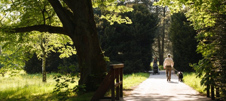 Bäume, Wiese und ein Fußgängerweg auf denen ein Mann mit einem Hund und eine Frau mit einem Kinderwagen Unterwegs sind dazu Blauer Himmel und Sonnenschein