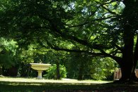 Bäume, Wiese und ein Gefäß