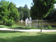 Ein Park mit Bäumen einer Wiese und ein Teich bei dem Wasser hochsprudelt