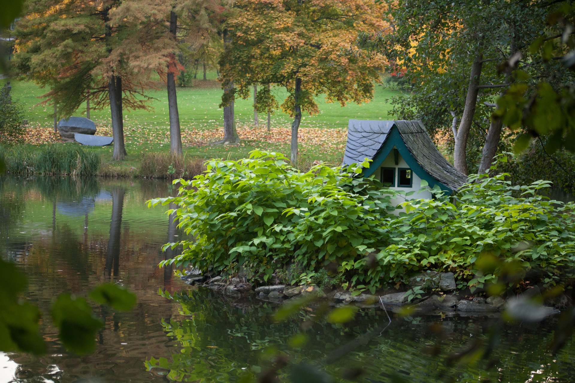 Fotografie eines herbstlichen Parks mit einem großen Teich, an dessen Ufer ein kleines Entenhaus inmitten dichter, grüner Sträucher steht.