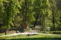 Ein gabelnder Spazierweg in einem Waldgebiet oder Park. Am Wegrand stehen eine Holzbank und ein weißer Wegweiser mit mehreren Richtungsschildern. Die Szene ist von hohen, grünen Bäumen umgeben und wird von der Sonne beschienen