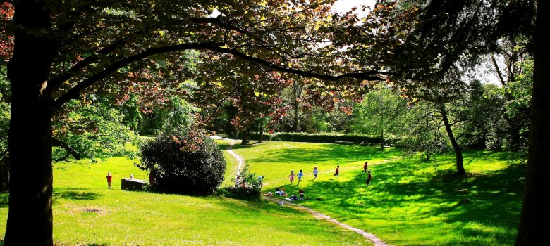 Blick aus dem Schatten großer Bäume auf eine weite, sonnendurchflutete grüne Wiese. Eine Gruppe von Kindern rennt und spielt auf dem Rasen, während ein schmaler Pfad sich durch die Fläche zieht