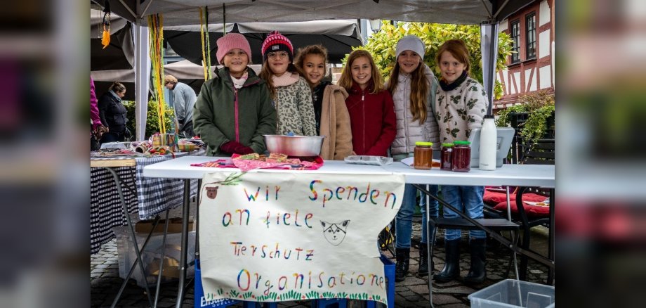 Tolle Idee: Diese jungen Standbetreiberinnen waren zuletzt bei der Kinderapfelmeile mit dabei, um mit dem Verkaufserlös Tierhilfe-Organisationen zu unterstützen. Tolle Idee: Diese jungen Standbetreiberinnen waren zuletzt bei der Kinderapfelmeile mit dabei, um mit dem Verkaufserlös Tierhilfe-Organisationen zu unterstützen.