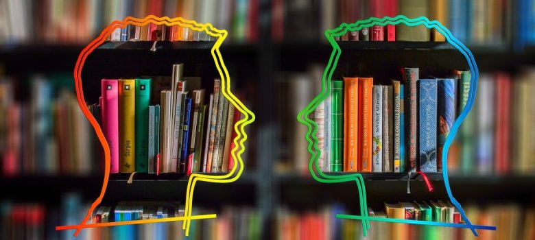 Zwei einander zugewandte Kopf-Silhouetten in bunten Farben, deren Inneres mit Bücherregalen gefüllt ist, vor einem unscharfen Bibliotheks-Hintergrund