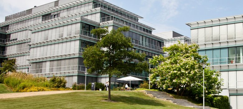 Campus Kronberg, Procter & Gamble