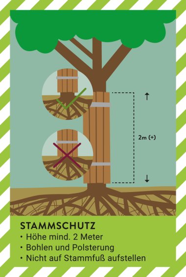 Baumschutz auf Baustellen